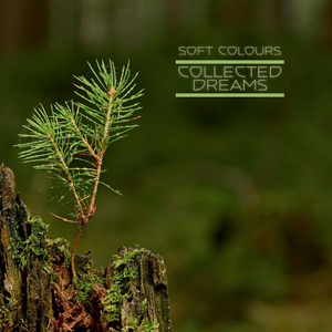 旧本a片温泉下的母子
